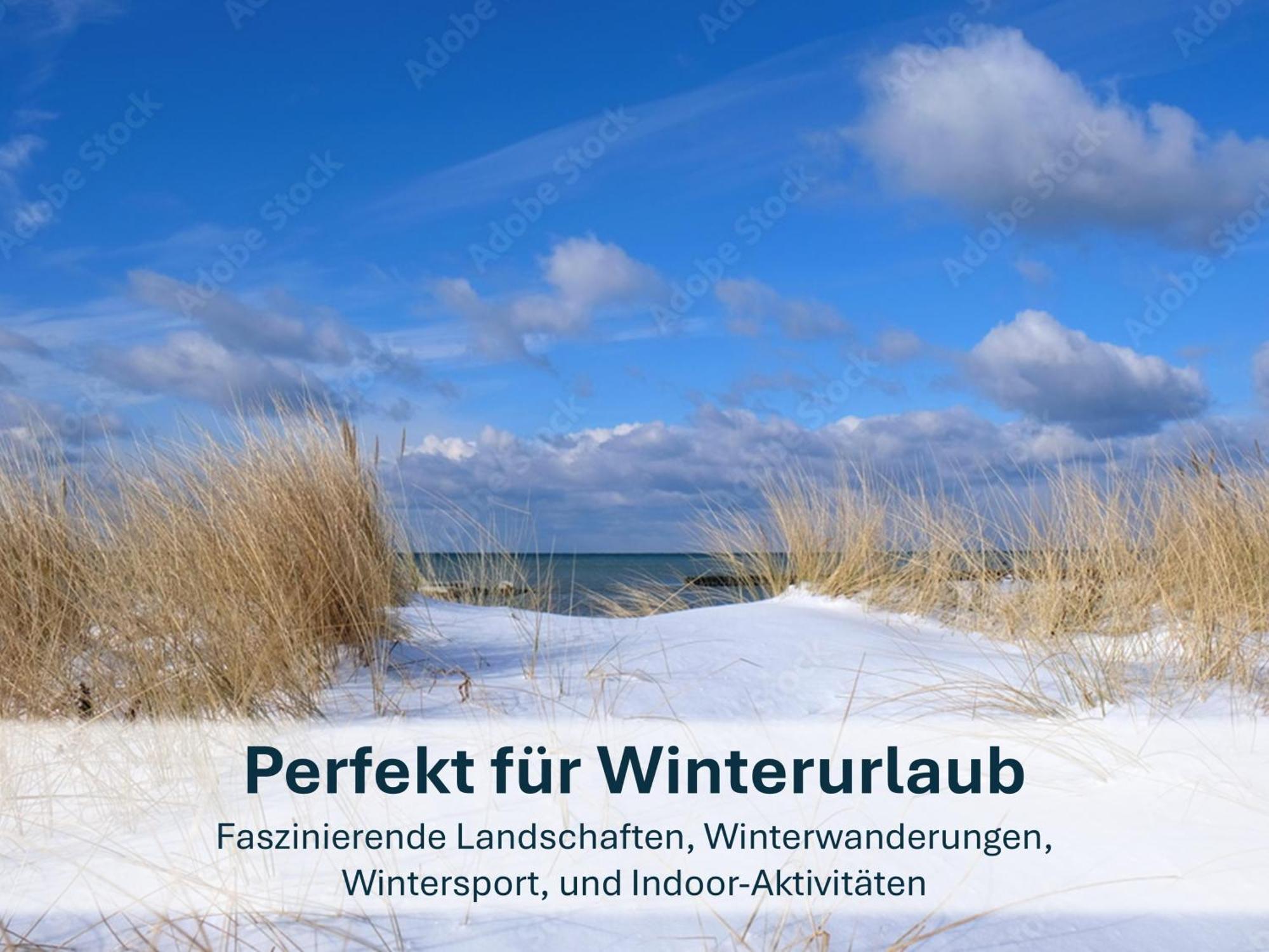 Zinnowitz, Paradies Am Wald - Wg 05 外观 照片